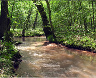 Babbling Brook screenshot